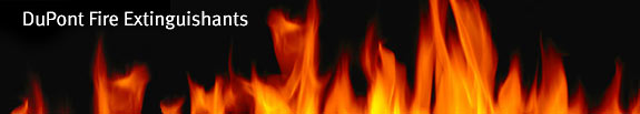 DuPont Flame Logo